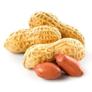 Peanut